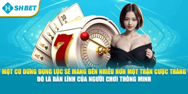 Một cú dừng đúng lúc sẽ mang đến nhiều hơn một trận cược thắng – đó là bản lĩnh của người chơi thông minh
